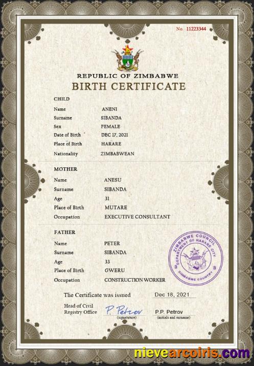 Zimbabwe vital record birth certificate